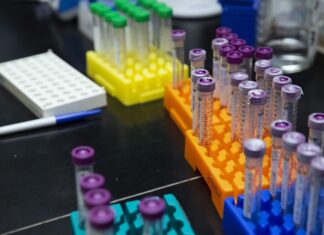 laboratorio