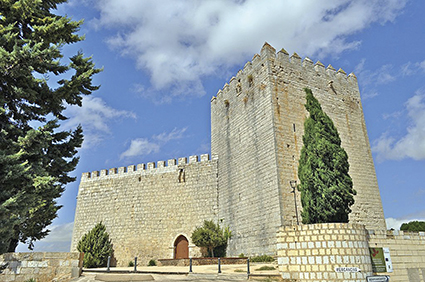 CASTILLO_DE_MONZÓN_DE_CAMPOS_-_panoramio