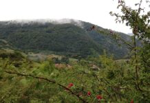 Camino Lebaniego Valle de Pineda Potes y Cervera de Pisuerga