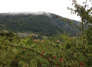 Camino Lebaniego Valle de Pineda Potes y Cervera de Pisuerga