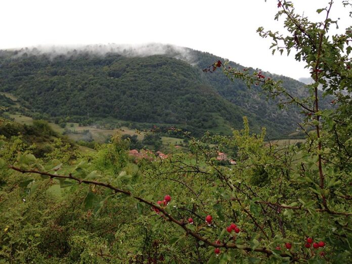 Camino Lebaniego Valle de Pineda Potes y Cervera de Pisuerga