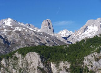 Picos de Europa