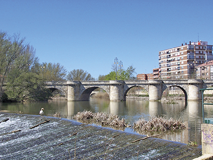 Puente mayor Palencia