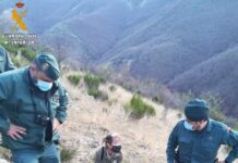 Sucesos.- Investigan a un hombre por la muerte de un ejemplar hembra de oso pardo en Fuentes Carrionas en Palencia