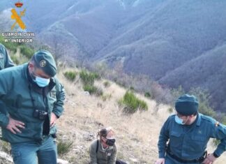 Sucesos.- Investigan a un hombre por la muerte de un ejemplar hembra de oso pardo en Fuentes Carrionas en Palencia
