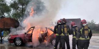 Unos bomberos apagan el fuego de un turismo.