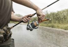 Pesca