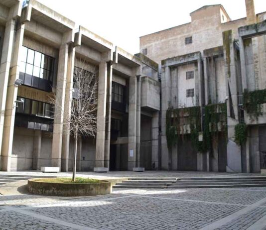 Biblioteca mariano timón arte