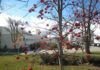 Campus de La Yutera de Palencia.