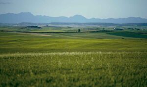 Foto15_A-Santiago Reconocer Palencia Villasirga Villalcazar de Sirga