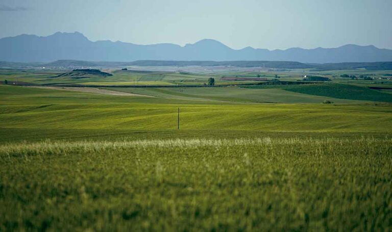 Foto15_A-Santiago Reconocer Palencia Villasirga Villalcazar de Sirga