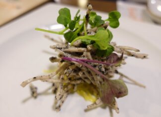 comida