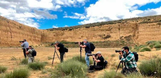 taller de fotografía con lobos PallantiaPhoto2021