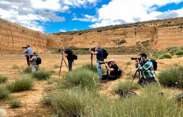 taller de fotografía con lobos PallantiaPhoto2021