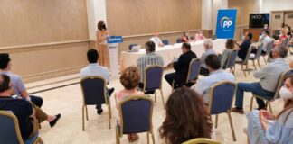 comite provincial pp palencia
