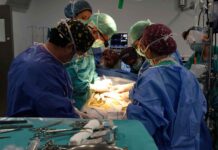 Operación y trasplante de órganos