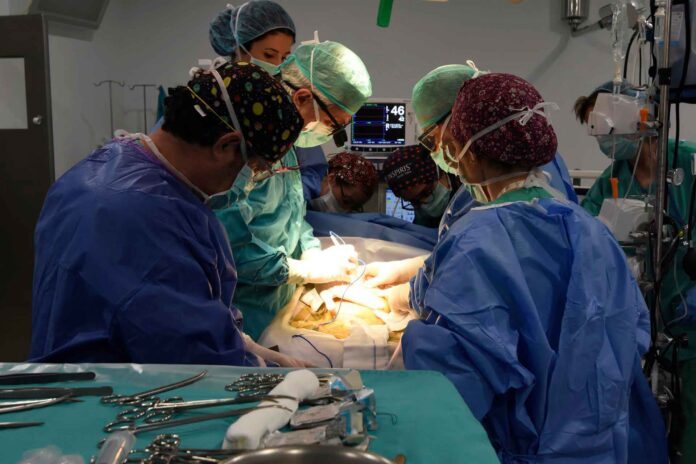 Operación y trasplante de órganos