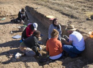 Arqueología en Palencia