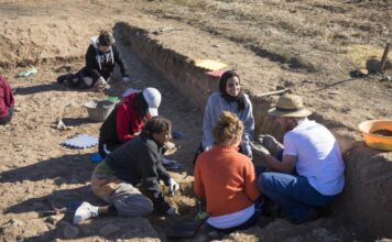 Arqueología en Palencia