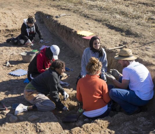 Arqueología en Palencia
