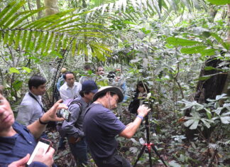 iuFOR ingenieros forestales visita a Vietnam