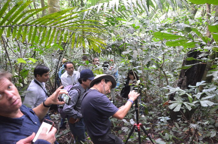 iuFOR ingenieros forestales visita a Vietnam