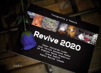 revive 2020 exposición en palencia