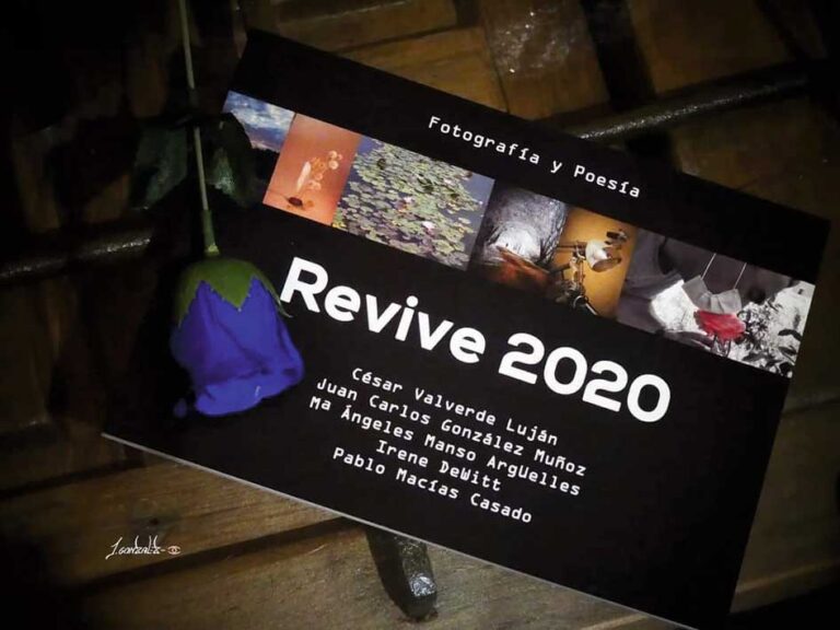 revive 2020 exposición en palencia