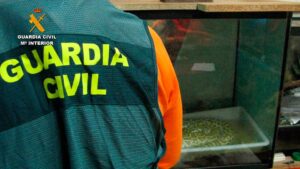 Especies-protegidas-de-fauna-silvestre-intervenidas-en-Palencia-por-la-Guardia-Civil22