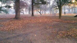 Estado en el que se encuentra una parte del parque de Huertas del Obispo sin apenas césped.