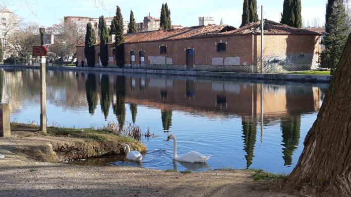 Allende el Río