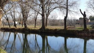 Vista del Canal de Castilla rodeado de árboles en Allende el Río