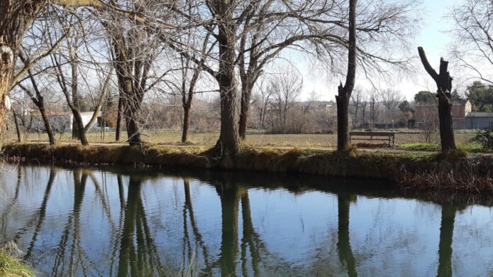 Vista del Canal de Castilla rodeado de árboles en Allende el Río