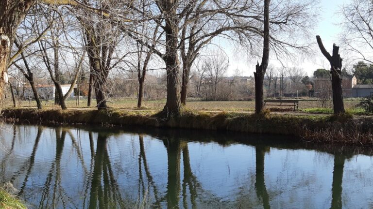 Vista del Canal de Castilla rodeado de árboles en Allende el Río