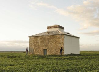 Proyecto Palomares de Palencia - Colegio Oficial de Arquitectos de León delegación Palencia - Foto COAL