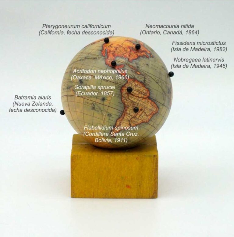 obra de Jose Luis Viñas memorial de las diminutas muertes exposicion en Valladolid