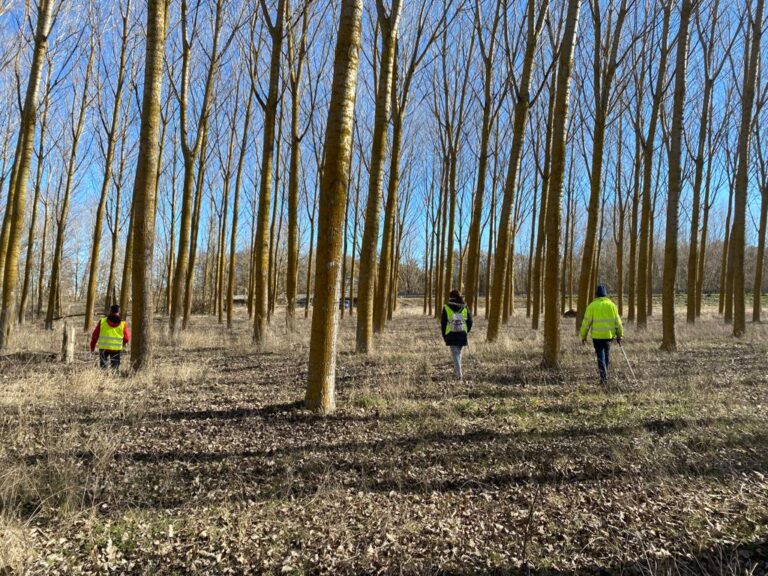 Imagen de una búsqueda en los entornos de Carrión de los Condes. IVÁN ABAD