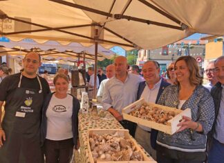 Feria-Alimentaria-en-Grijota