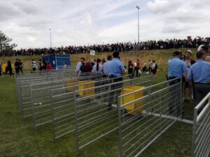 Control de entrada en otras ediciones de ITA Palencia.