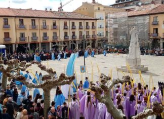 Procesión Domingo de Ramos Semana Santa Palencia 2022