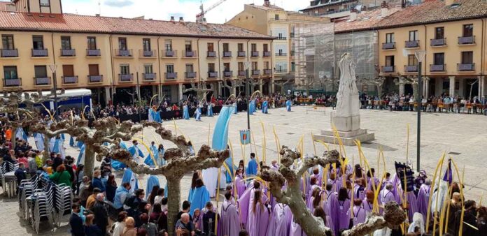 Procesión Domingo de Ramos Semana Santa Palencia 2022