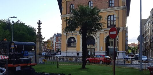 jardinillos nuevos tala replantan