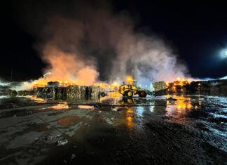 incendio papelera dueñas