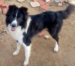 uno acaba bien aventura