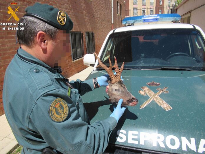 corzo-guardia-civil