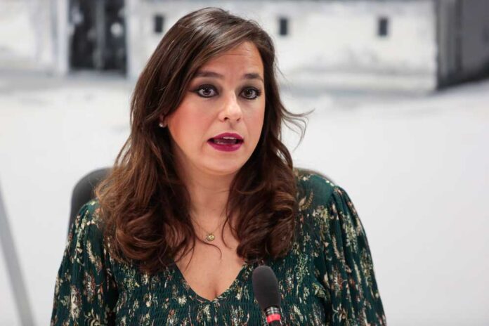 gema villarroel coordinadora ciudadanos cyl ICAL