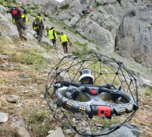 dron osos montaña palentina