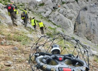 dron osos montaña palentina