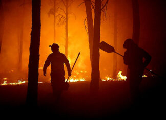 incendio sierra de la culebra