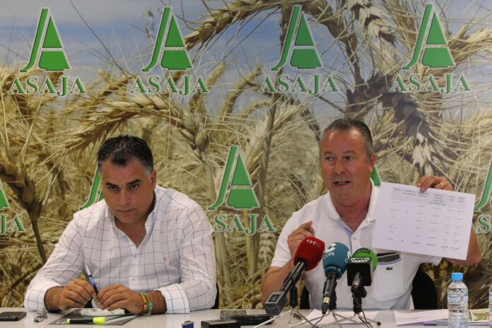 dujo 600 euros gasoil día